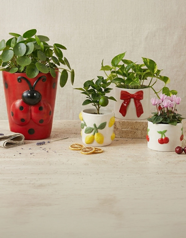 Verschiedene dekorative Pflanzengefäße und Gartenaccessoires auf hellem Untergrund – farbenfrohe Töpfe und liebevolle Details für Zuhause und Garten