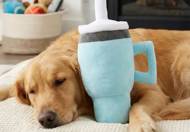 Ein Golden Retriever ruht friedlich seinen Kopf an einem plüschigen, übergroßen Trinkbecher-Spielzeug, mit einer gemütlichen Wohnzimmerkulisse im Hintergrund. Ein Golden Retriever ruht friedlich seinen Kopf an einem plüschigen, übergroßen Trinkbecher-Spielzeug, mit einer gemütlichen Wohnzimmerkulisse im Hintergrund.