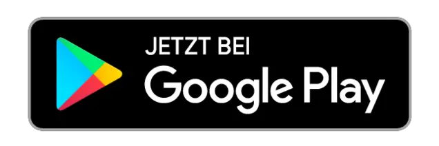 Google Play Store Google Play Store